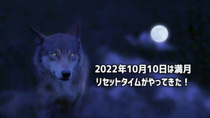 番組の途中ですが満月速報です。10月10日は満月！一旦リセット入りましょう