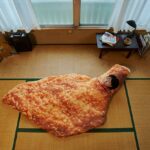 大好きなチキンに包まれて～ 睡眠中の飢えをしのげる「巨大モスチキン寝袋」が抽選で当たるキャンペーン