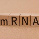 【mRNA】メッセンジャーRNAの技術を使った癌のワクチン、2030年には利用可能か？