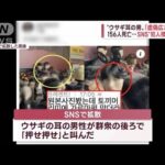 【終了】韓国のウサ耳男、詰む…