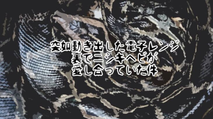 オンリーオーストラリア。台所の電子レンジの裏でニシキヘビが愛し合っていた件（※蛇出演中）