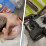 生の鶏肉に銃を仕込んで機内に持ち込もうとしたアメリカ人乗客が拘束される