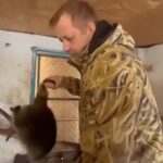 ウクライナの動物園からアライグマとラマを奪い取るロシア兵の姿が目撃される