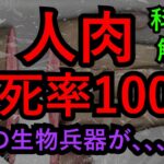 【閲覧注意】人間の脳を食べてはいけない←これ。。。