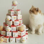 KFCが猫用チキンをプレゼント。ヒヨコの形をしたかわいいおもちゃです