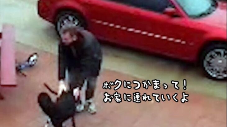 「ボクにつかまって！」凍結した道を歩けない飼い主を助ける犬