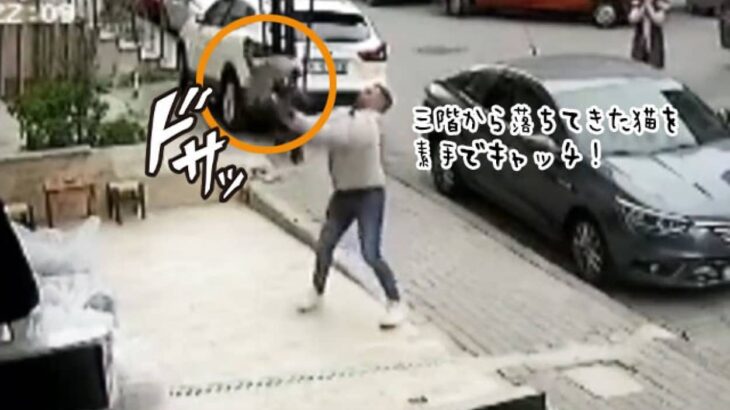 あかん、落ちる！3階の窓で今にも落ちそうな猫を見た男性が素手でキャッチ（トルコ）