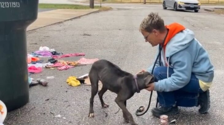 私にやさしくしてくれるの？ゴミ捨て場にいた犬が、助けに来た人に全力で愛情を示す