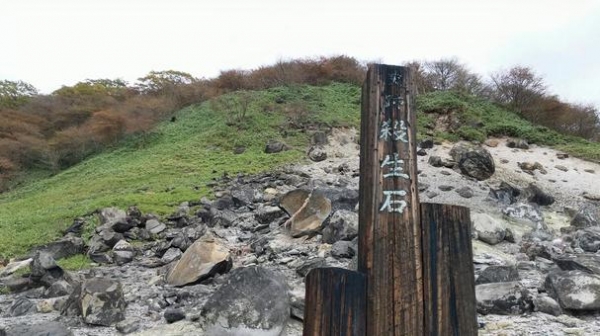 【九尾の狐伝説】栃木県にある「割れた殺生石」の周りでイノシシ8頭の死骸が見つかる…これ命を吸い取られたの？