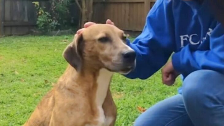 「ここが私のおうち！」散歩の途中で出会った野良犬、家と家族を手に入れて幸せいっぱい