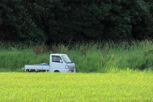 田舎ジジイ軽トラ「ﾉﾛﾉﾛ…」ワイ「免許見せて」ジジイ「ｱｱ…」ワイ「更新してないじゃん警察呼ぶわ！」→結果