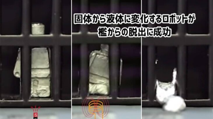 猫かと思ったらロボットだった。固体から液体に変わり、檻からの脱出に成功した金属ロボット