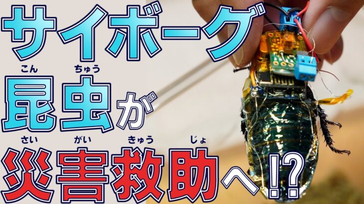 【閲覧注意】「生み出してはならなかった…」人類の過ち。”最強兵器”トップ10！