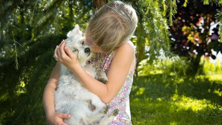 祖父の家の近くで出会った犬との別れがつらくて泣きじゃくる孫たち。そこから始まるおじいさんマジック