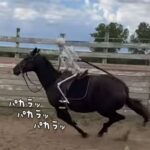 馬に乗ったゴーストライダー？骸骨を背に乗せ走る馬