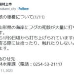 【異変】新潟の海岸に大量の「フグ」が打ち上げられる！山形県でも見つかっている模様