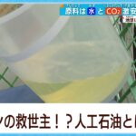 日本人「せや！水から石油作ったろ」→結果…(動画ｱﾘ)