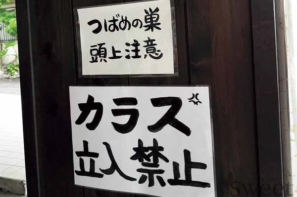 【230枚】腹 筋 崩 壊 ！！！お も し ろ 画 像 で 笑 っ た ら 即 就 寝 ～ ｗ ｗ ｗ ｗ ｗ ｗ ｗ ｗ ｗ