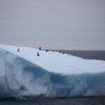 【気候変動】科学者「終わりの始まり」…南極の海氷面積、2年連続で過去最小を更新