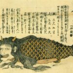 【鑑定】岡山県にある寺院が秘蔵していた「人魚のミイラ」ついに正体が明らかになってしまう…