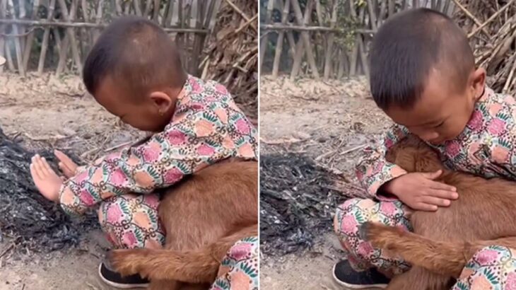 心にともしび。薪にかざした自分の手で犬をあたためようとする少年のやさしさ