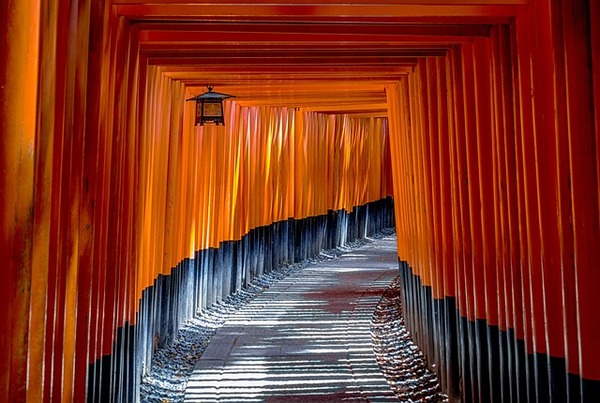 【悲報】深夜の無人の神社に入ってはいけない理由、ヤバ過ぎる！