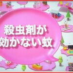 【スーパー耐性蚊】東南アジアで発見！同じ殺虫剤の継続的な使用で…日本に入ってきたら？