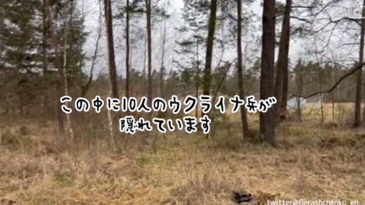 林の中に潜む10人のウクライナ兵を探せ！