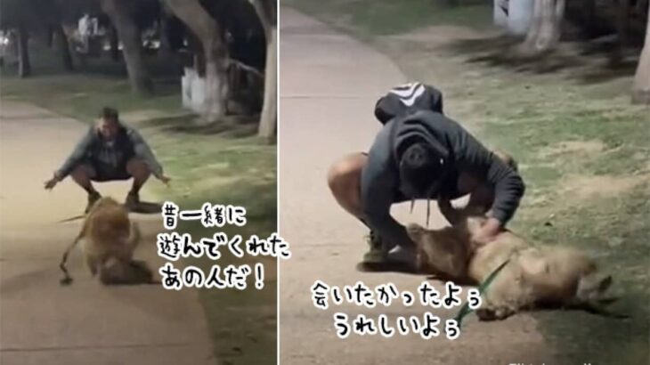 愛犬が全力で向かっていった先には1年半前に別れた元カレ。犬は男性のことを忘れていなかった