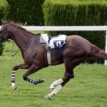 馬「あっ、骨折れたわ！」馬主「じゃあ死ね」馬「え？」