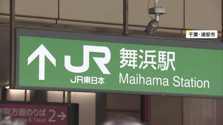 【地殻変動の影響か】東京と千葉で謎の異臭騒ぎ…舞浜周辺でも「硫黄みたい」