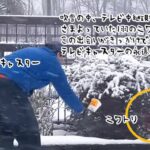 吹雪の中ニワトリと遭遇した天気予報し、飼い主が現れず飼うことに。深い友情関係で結ばれる