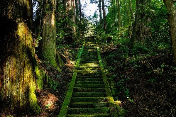 【禁足地】絶対に通ってはいけないヤバい階段。。