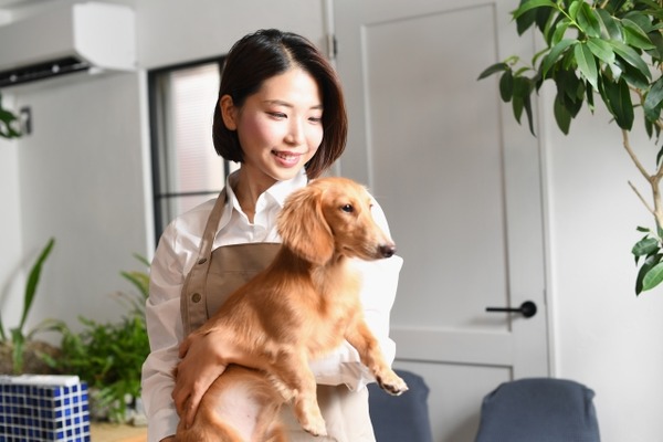 ワイ「なんかペット飼おう」お前ら「犬はやめとけ猫はやめとけハムスターはやめとけ」→結果。。。