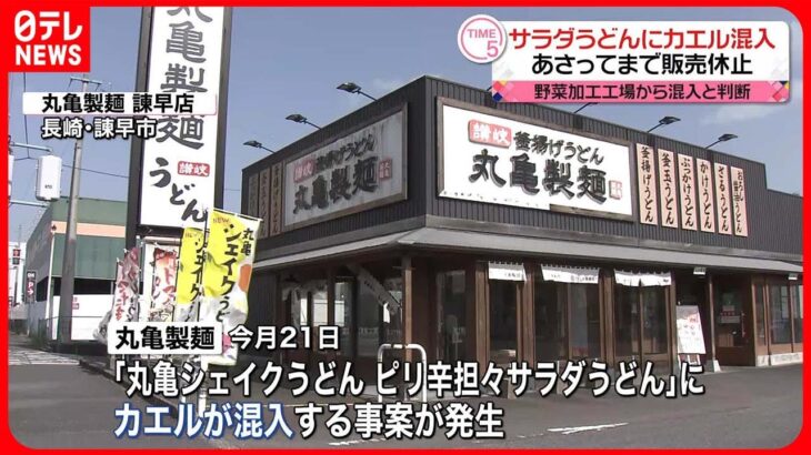 【悲報】カエルさん、たった1匹で3日で20万食売れたシェイクうどんを販売停止に追い込んでしまう…