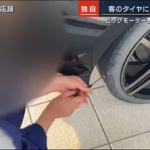 【悲報】ツイ民「ビッグモーターのパンク指導する動画の車…俺のじゃん…。」