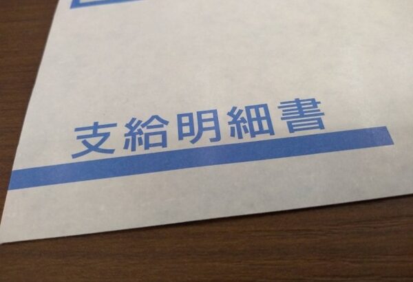 地方公務員ワイ（30）「今日も疲れたな、給与明細見て元気だすか」→結果ｗｗｗｗｗｗｗ