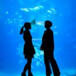 【悲報】女友達「水族館行きたい」ワイ「行くか～」→結果ｗｗｗｗｗｗｗｗ