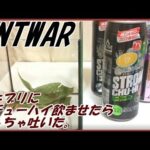 【閲覧注意】ゴキブリに「ストロングチューハイ」与えてみた結果 →こうなる