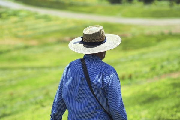 【悲報】現役年収1200万勝ち組おじさん、65歳から年金受給も支給は毎月たったの20万と判明し愕然…