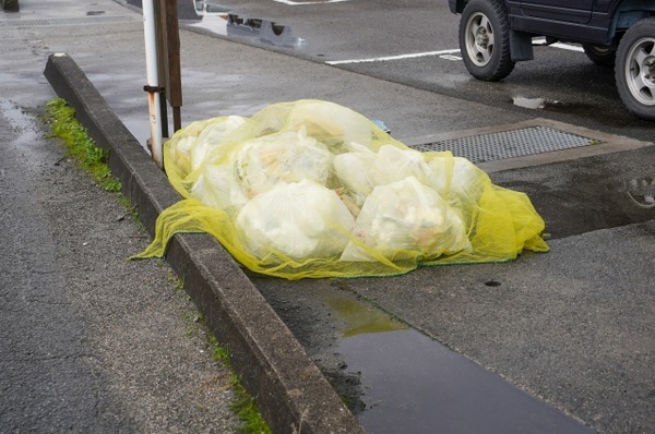 「すいませーん」ﾋﾟﾝﾎﾟｰﾝ俺「何奴？」敵「町内会ですけど」俺「何用？」敵「ゴミ出しについてなんですが」→結果・・