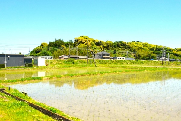 【朗報】田舎にUターン就職したワイ、10代女子社員と結婚するｗｗｗｗｗｗｗ