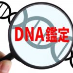 ワイ「お前なんだこの手紙は」元旦那「なにって…？DNA親子鑑定だよ…」→結果・・